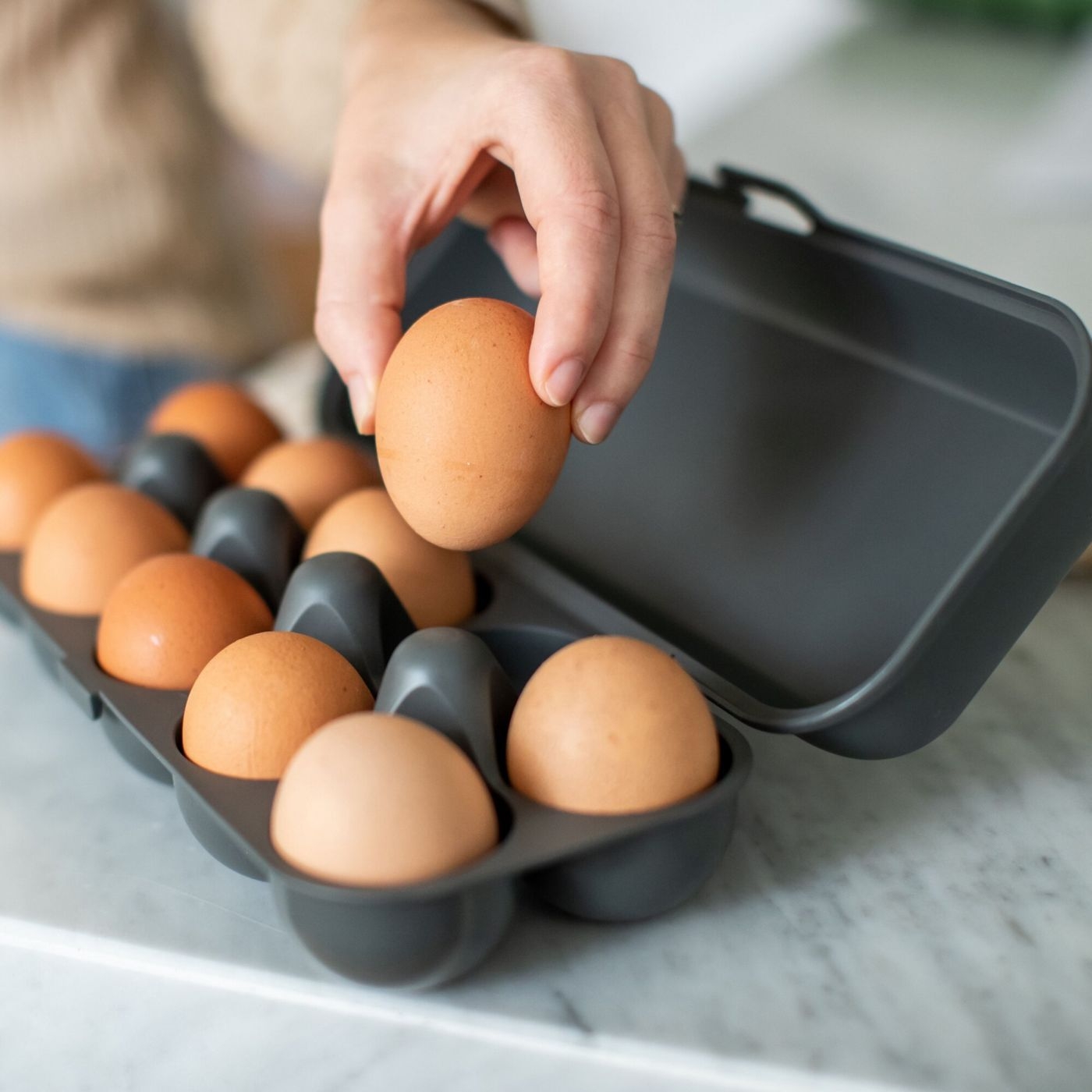 Koziol Eierbox EGGS TO GO grau für 10 Eier