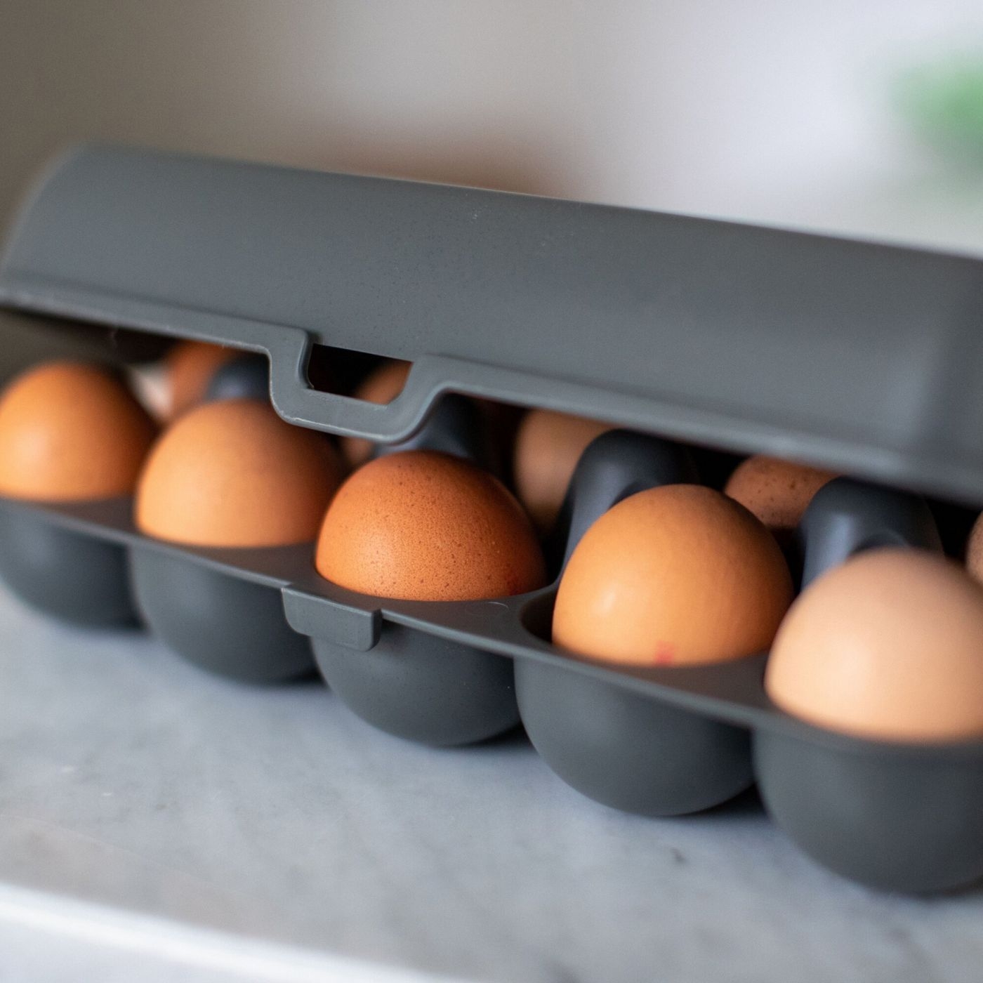 Koziol Eierbox EGGS TO GO grau für 10 Eier