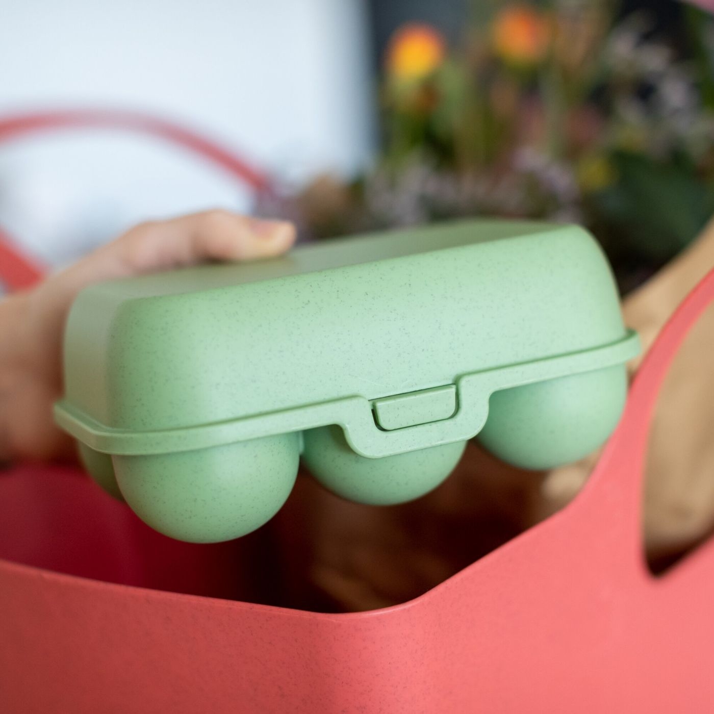 Koziol Eierbox EGGS TO GO MINI grün für 6 Eier