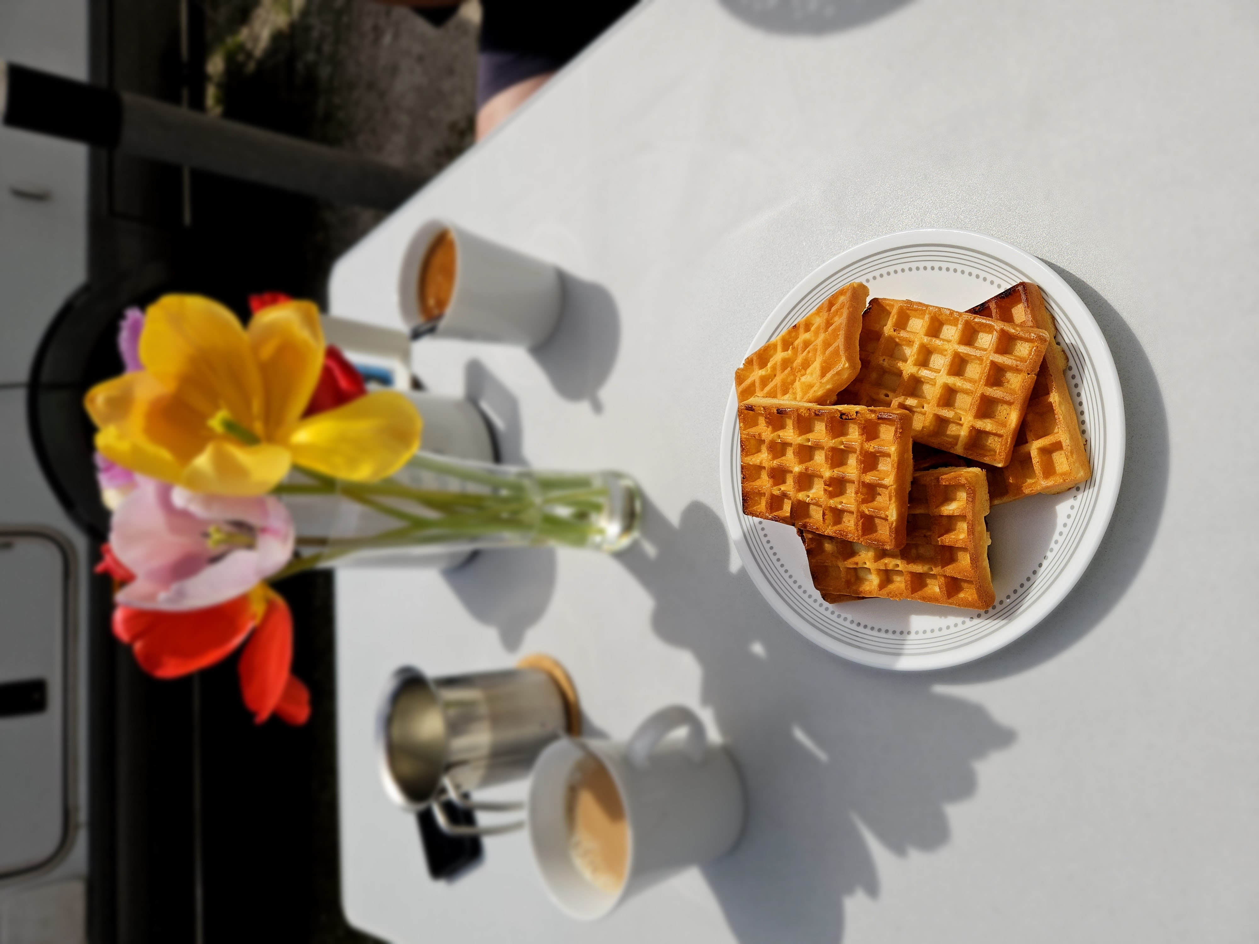 CAMP-A-TOASTER – das Original | Campingtoaster für Gasherd oder Gaskocher